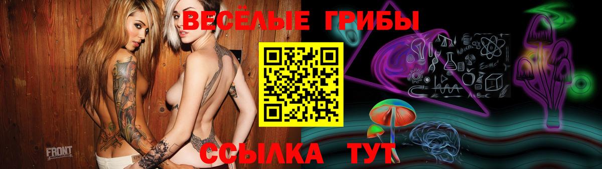 Псилоцибиновые грибы Psilocybe  Вход с VPN  Берёзовский 
